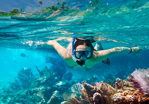 Riviera Maya Transportation & Transfers
